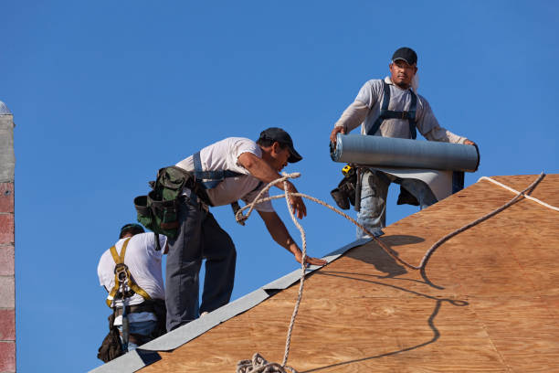 Professional Roofing Contractor in Galatia, IL