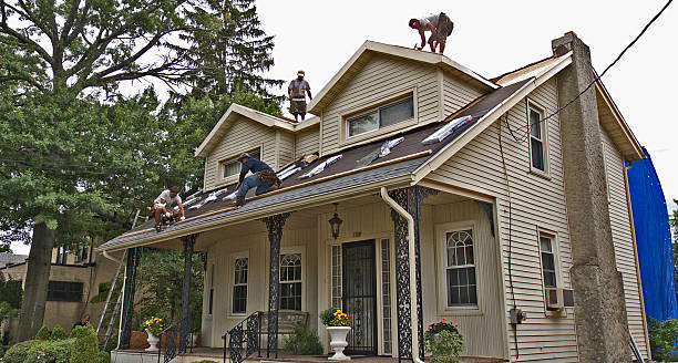 Best Flat Roof Repair Services  in Galatia, IL